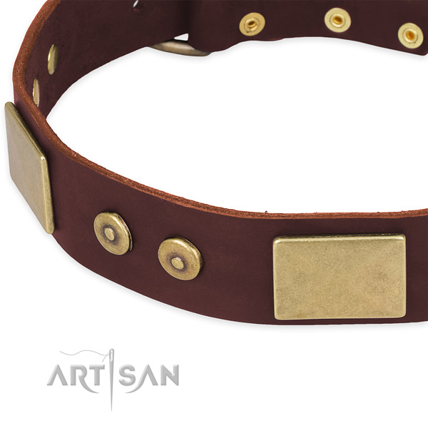 Full grain natural leather dog collar with adornments for everyday walking