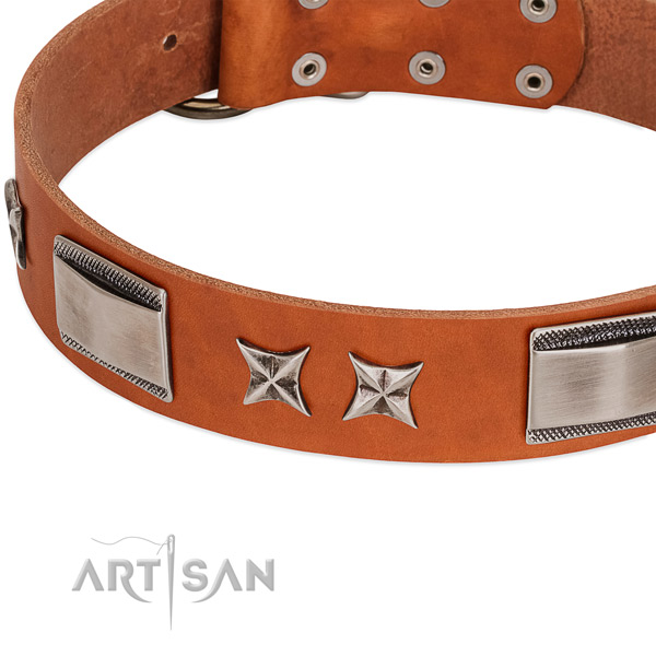 Top notch full grain leather dog collar with rust resistant hardware