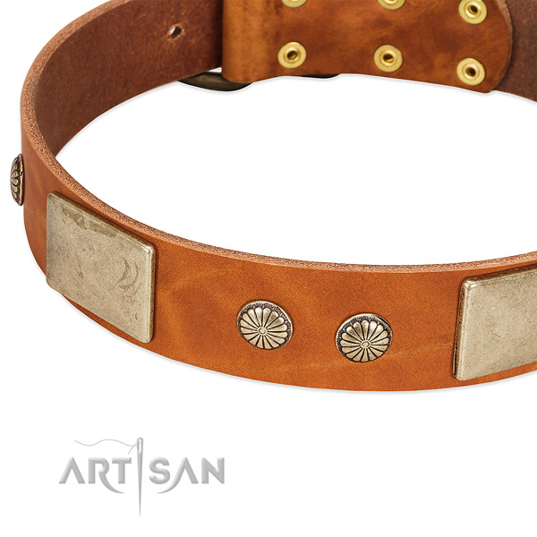 Corrosion resistant adornments on natural genuine leather dog collar for your canine