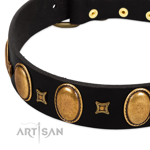 Leather dog collar with adornments for walking