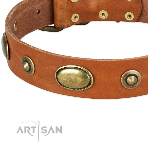 Strong D-ring on natural leather dog collar for your pet