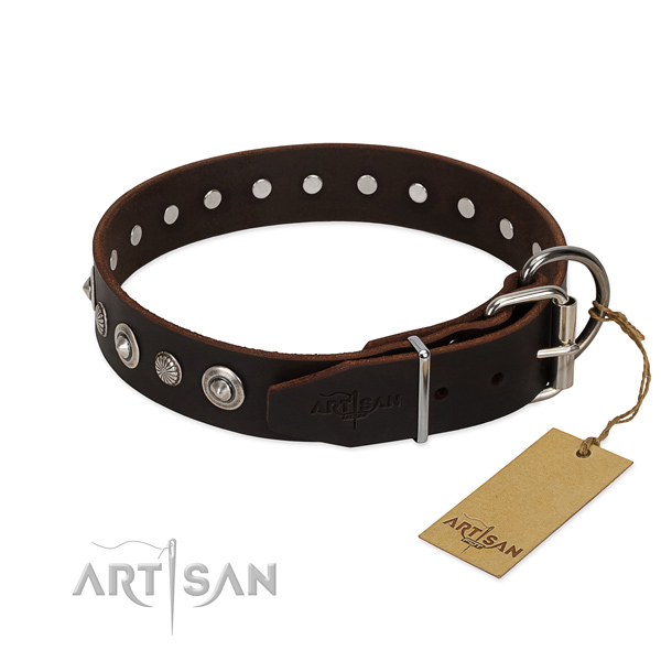 Quality leather dog collar with stylish design adornments