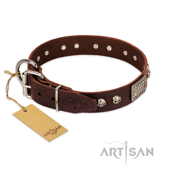 Durable embellishments on comfy wearing dog collar