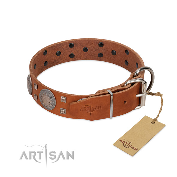 Amazing full grain natural leather dog collar for walking in style your dog