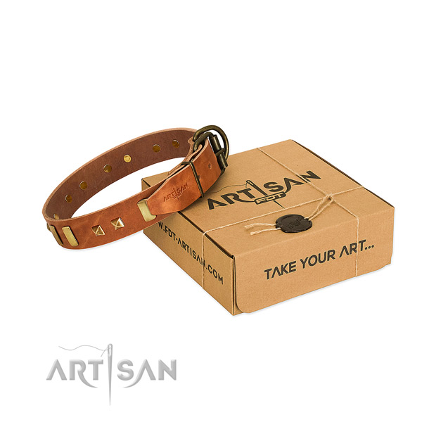 Quality genuine leather dog collar with embellishments for daily use