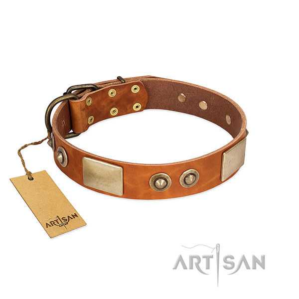 Easy adjustable full grain leather dog collar for walking your four-legged friend