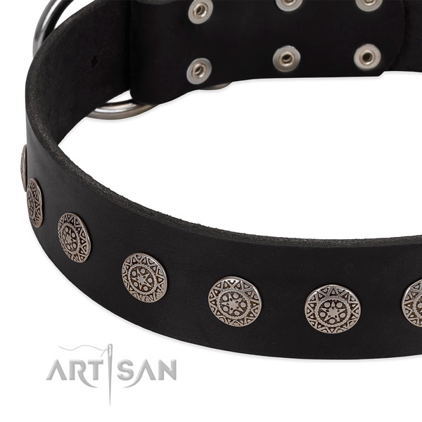 Amazing leather collar with decorations for your doggie