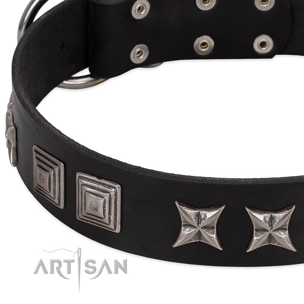 Daily use full grain leather dog collar with stylish adornments