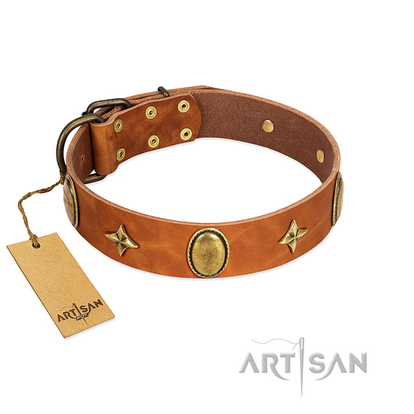 High quality full grain leather dog collar with corrosion proof decorations