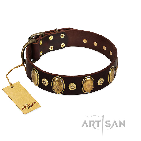 Stylish walking dog collar of natural genuine leather