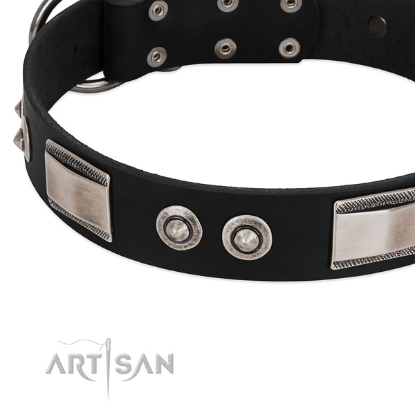 Inimitable collar of leather for your lovely pet