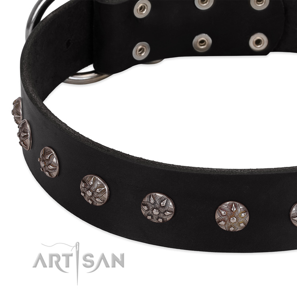 Top notch genuine leather dog collar with exceptional studs