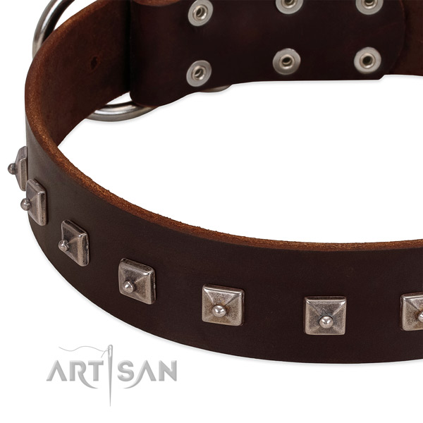 Reliable full grain leather collar with embellishments for your canine