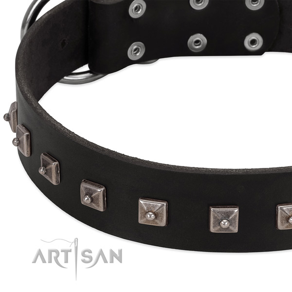 Quality genuine leather collar with embellishments for your canine