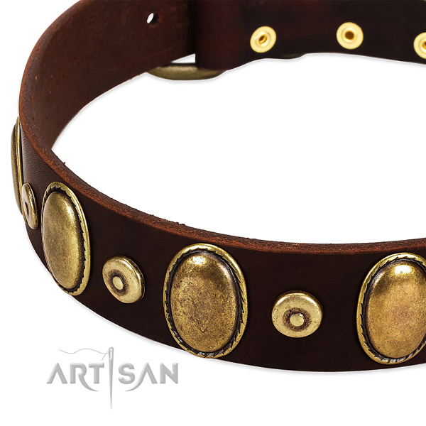 Soft to touch leather dog collar with adornments for comfy wearing