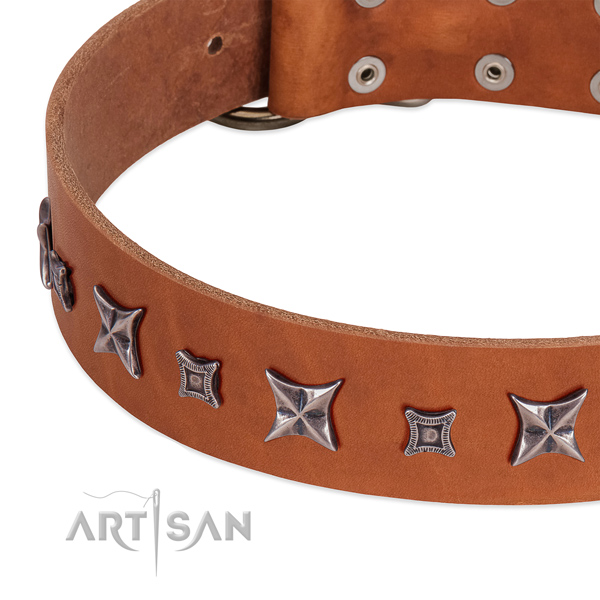 Remarkable genuine leather collar for your beautiful four-legged friend
