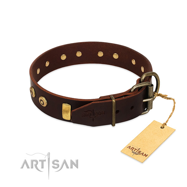Best quality genuine leather dog collar with remarkable embellishments