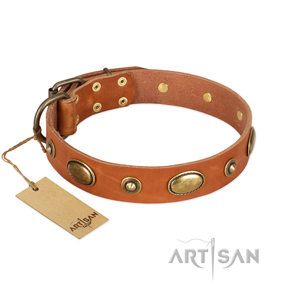 Embellished full grain genuine leather collar for your doggie