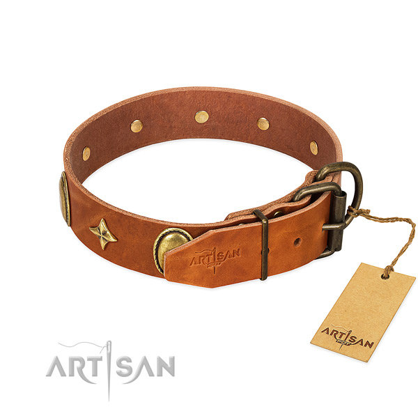 Top notch genuine leather dog collar with stylish adornments