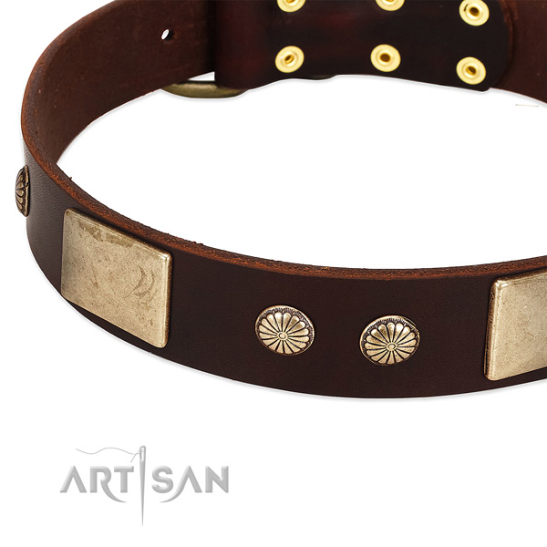 Corrosion proof hardware on full grain natural leather dog collar for your four-legged friend