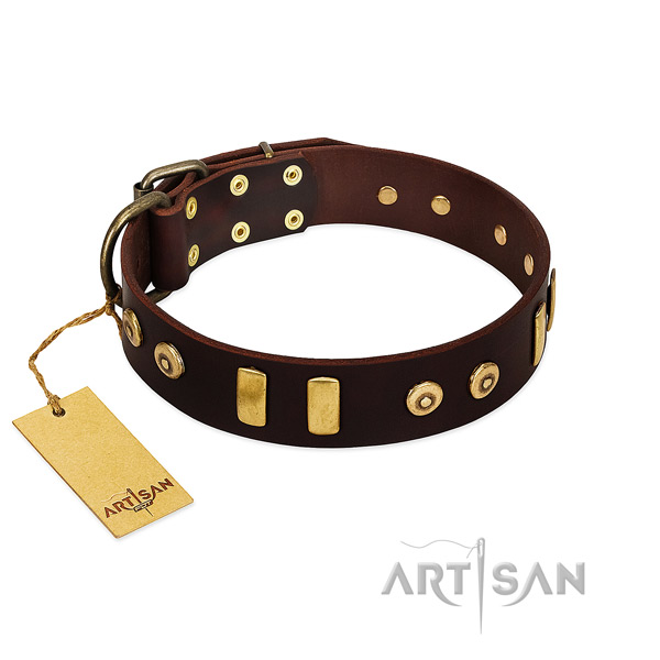 Leather dog collar with unusual decorations for handy use