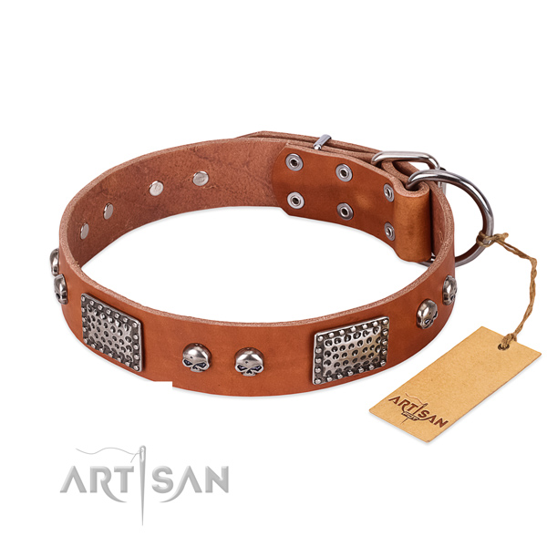 Adjustable full grain natural leather dog collar for daily walking your dog