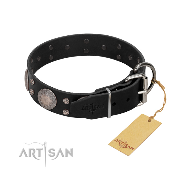 Top notch full grain natural leather dog collar with decorations for your beautiful dog
