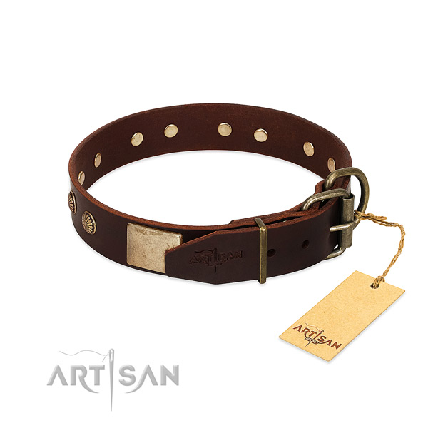 Durable embellishments on basic training dog collar