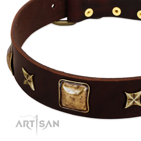 Rust resistant hardware on leather dog collar for your four-legged friend