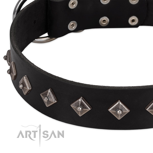 Easy to adjust collar of full grain leather for your attractive four-legged friend