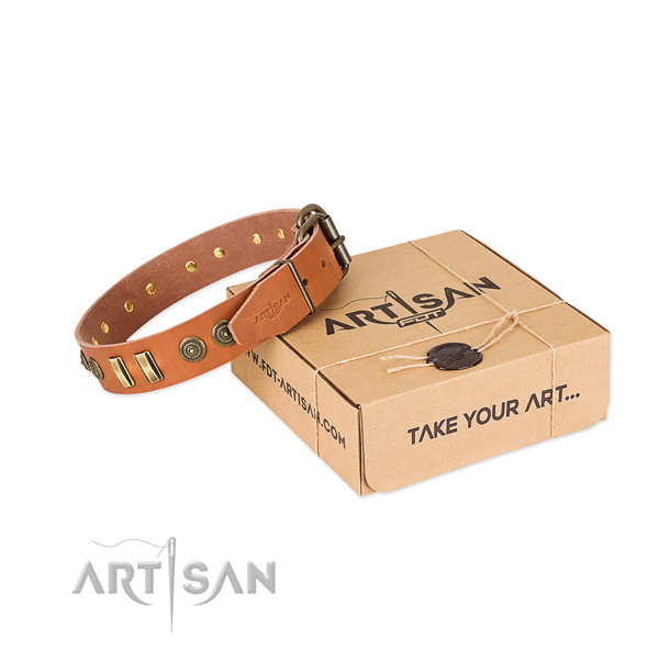 Reliable buckle on leather dog collar for your four-legged friend
