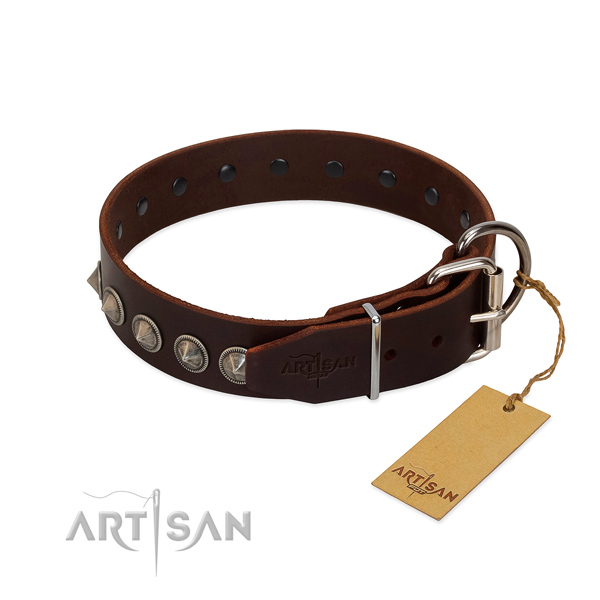 Designer studded leather dog collar for stylish walking