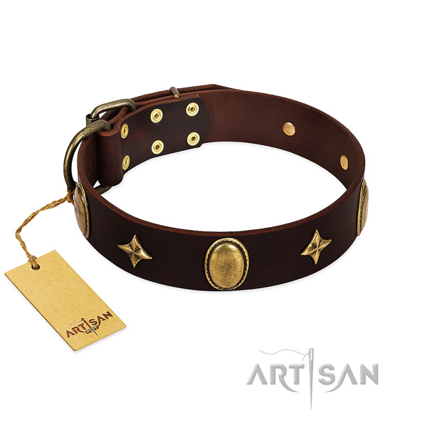 Top rate leather dog collar with corrosion proof decorations