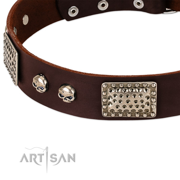 Durable embellishments on full grain leather dog collar for your pet