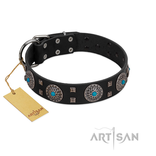 Comfy wearing genuine leather dog collar with designer embellishments