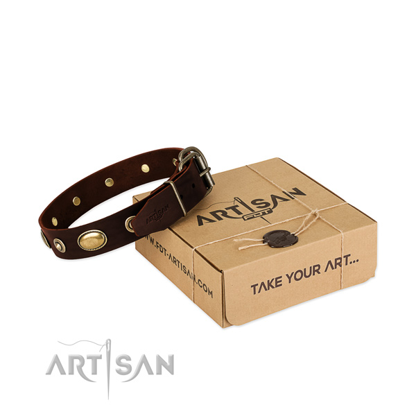 Reliable hardware on natural leather dog collar for your dog