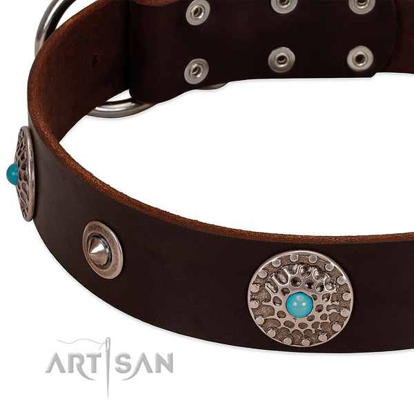 Unusual collar of full grain natural leather for your impressive canine