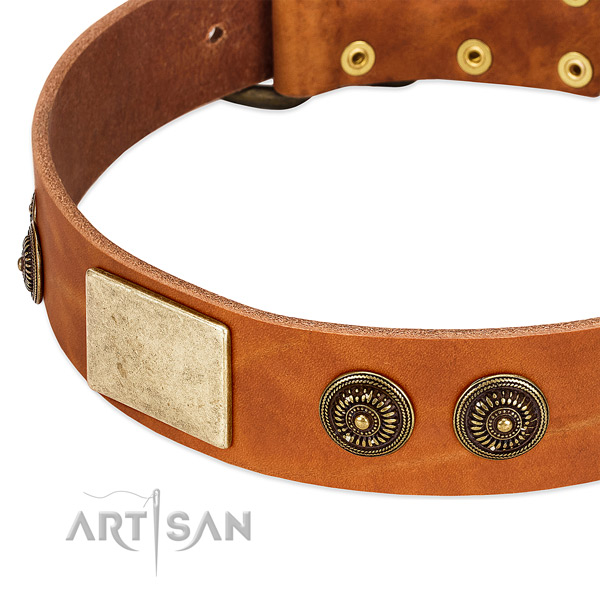 Rust resistant studs on full grain genuine leather dog collar for your dog