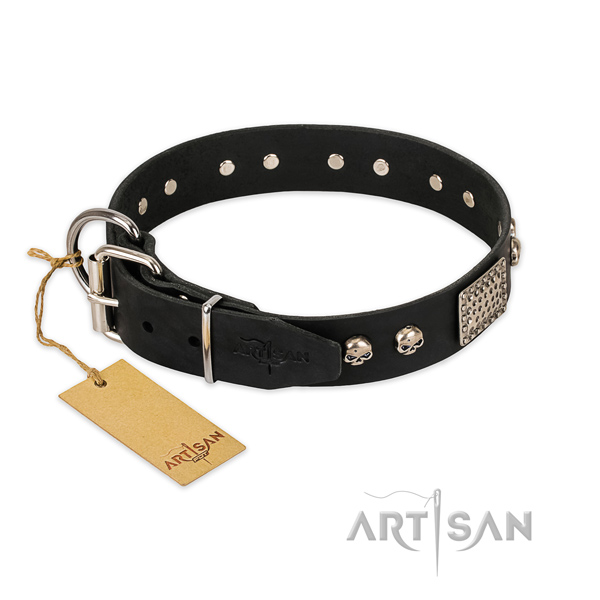 Corrosion proof decorations on everyday walking dog collar