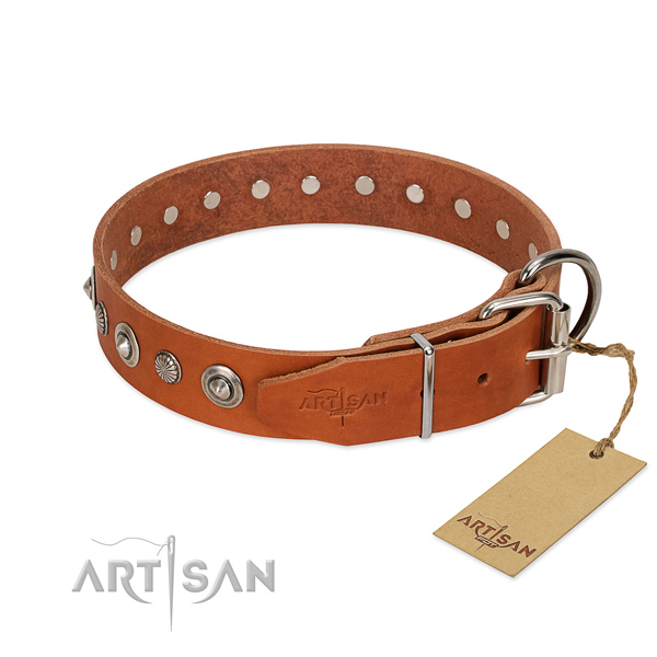 Top notch full grain genuine leather dog collar with fashionable adornments