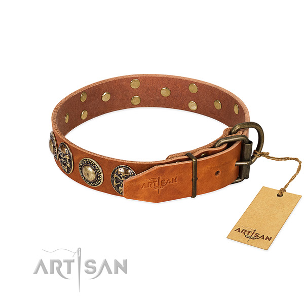 Rust-proof buckle on basic training dog collar
