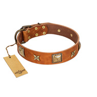 "Celtic Tunes" FDT Artisan Tan Leather German Shepherd Collar Adorned with Stars and Squares