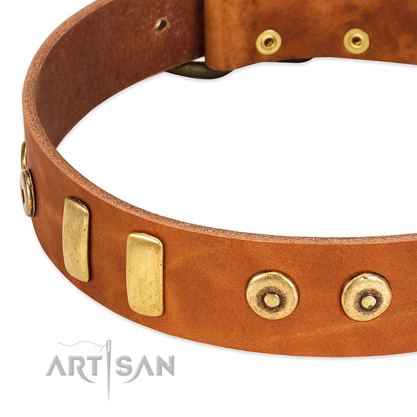 Soft natural leather collar with top notch adornments for your dog