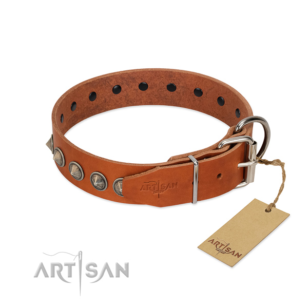 Exceptional embellished full grain genuine leather dog collar for comfy wearing