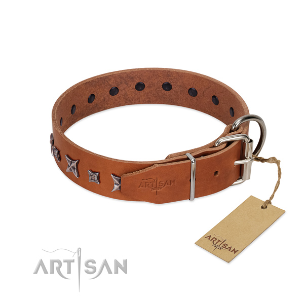 Full grain leather dog collar with awesome studs handcrafted canine