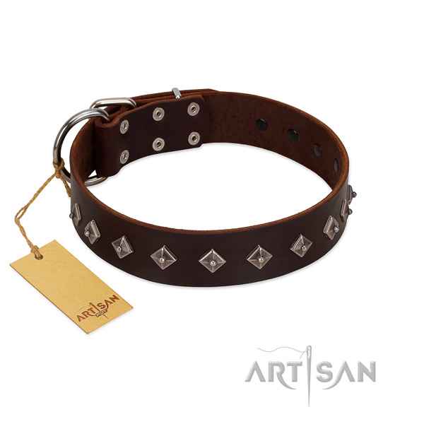 Stylish adornments on natural leather collar for daily walking your pet