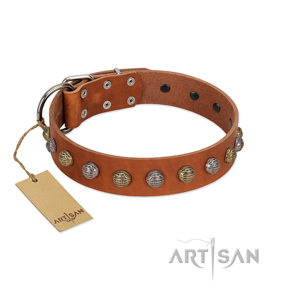 Corrosion proof hardware on full grain genuine leather dog collar for walking your dog