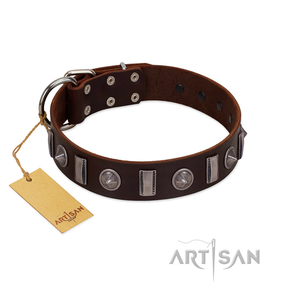 Flexible genuine leather dog collar with studs for daily use