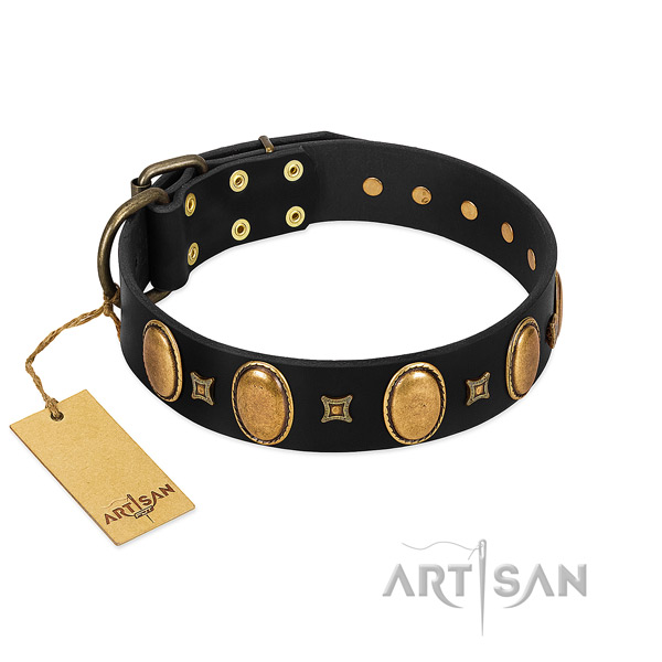 Full grain leather dog collar with amazing adornments for comfortable wearing