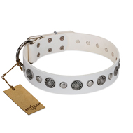"Fluff-Stuff Beauty" FDT Artisan White Leather German Shepherd Collar with Silver-like Studs and Conchos "Fluff-Stuff Beauty" FDT Artisan White Leather German Shepherd Collar with Silver-like Studs and Conchos